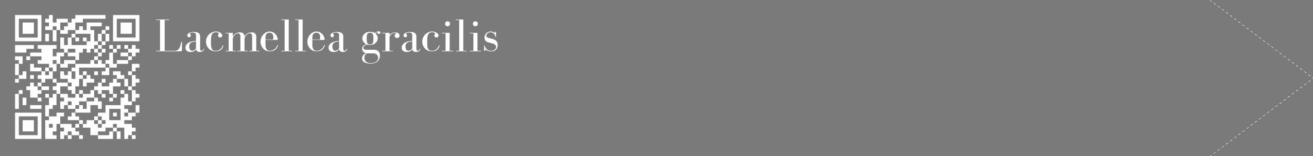 Étiquette de : Lacmellea gracilis - format c - style blanche3_simple_simplebod avec qrcode et comestibilité