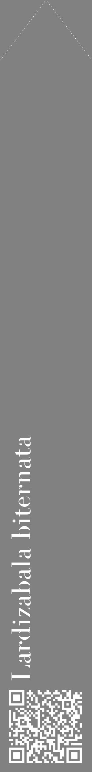 Étiquette de : Lardizabala biternata - format c - style blanche50_simple_simplebod avec qrcode et comestibilité - position verticale