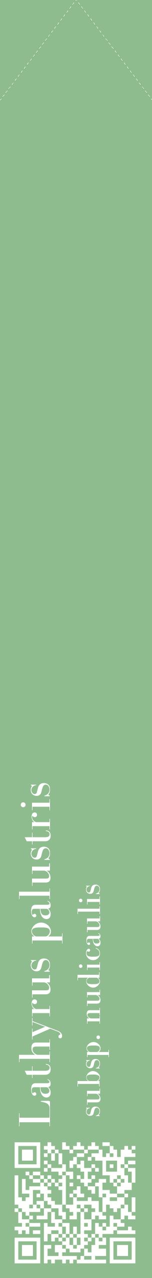 Étiquette de : Lathyrus palustris subsp. nudicaulis - format c - style blanche13_simplebod avec qrcode et comestibilité