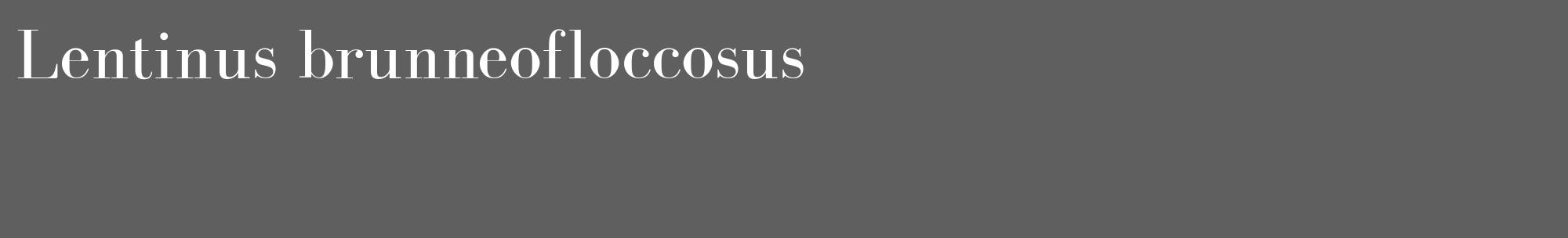 Étiquette de : Lentinus brunneofloccosus - format c - style blanche10_basique_basiquebod avec comestibilité