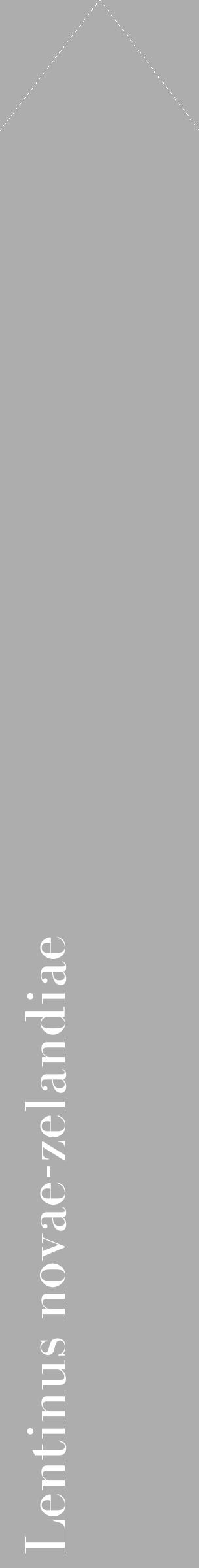 Étiquette de : Lentinus novae-zelandiae - format c - style blanche22_simple_simplebod avec comestibilité - position verticale