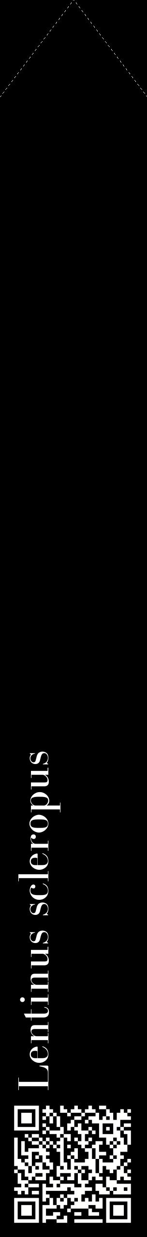 Étiquette de : Lentinus scleropus - format c - style blanche59_simplebod avec qrcode et comestibilité