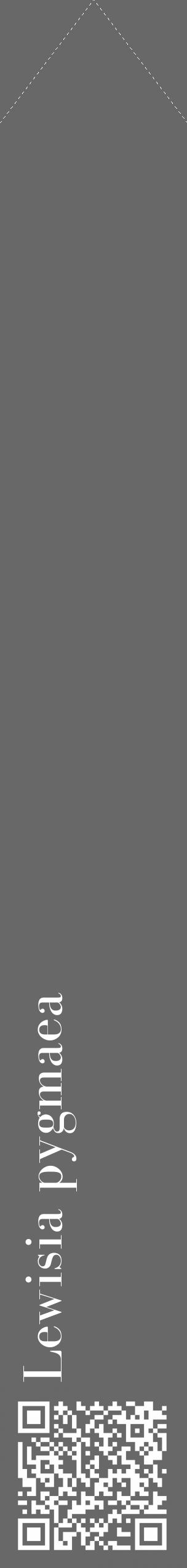Étiquette de : Lewisia pygmaea - format c - style blanche6_simple_simplebod avec qrcode et comestibilité - position verticale