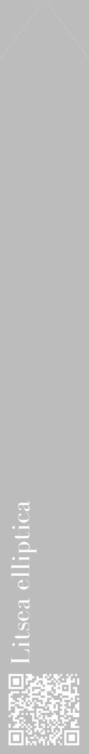 Étiquette de : Litsea elliptica - format c - style blanche1_simple_simplebod avec qrcode et comestibilité - position verticale