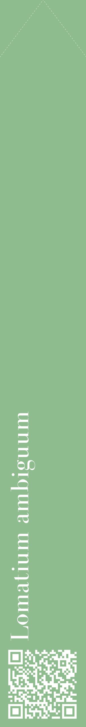 Étiquette de : Lomatium ambiguum - format c - style blanche13_simplebod avec qrcode et comestibilité