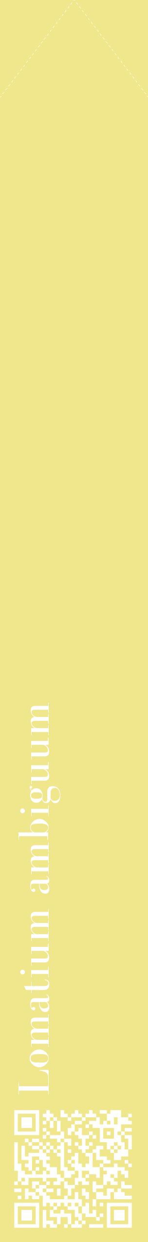 Étiquette de : Lomatium ambiguum - format c - style blanche20_simplebod avec qrcode et comestibilité