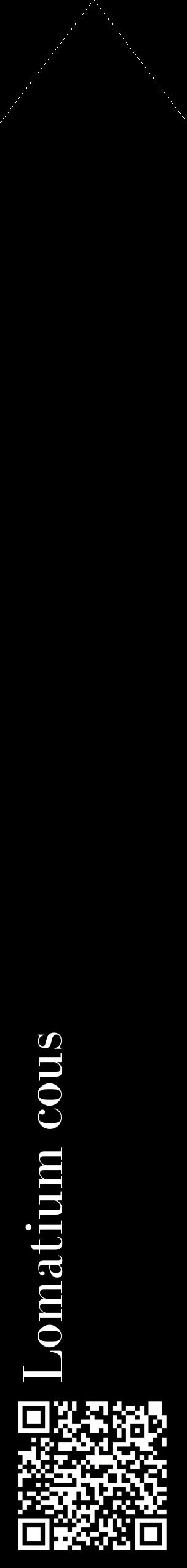 Étiquette de : Lomatium cous - format c - style blanche59_simplebod avec qrcode et comestibilité