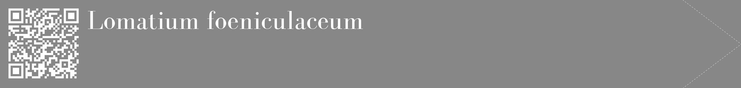 Étiquette de : Lomatium foeniculaceum - format c - style blanche12_simple_simplebod avec qrcode et comestibilité