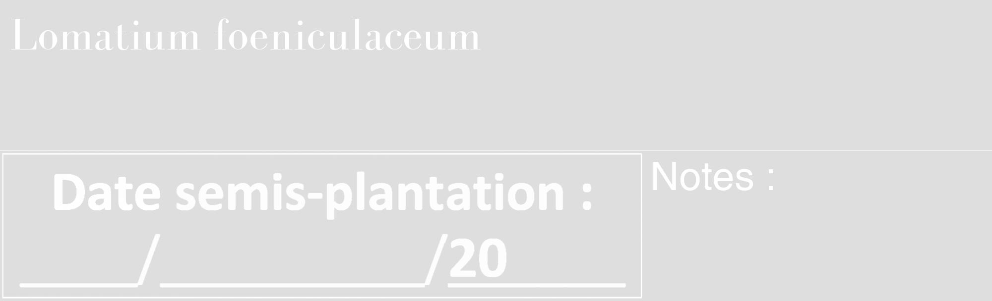 Étiquette de : Lomatium foeniculaceum - format c - style blanche20_basique_basiquebod avec comestibilité