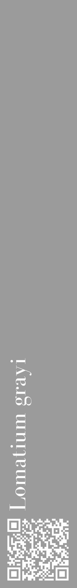 Étiquette de : Lomatium grayi - format c - style blanche52_basique_basiquebod avec qrcode et comestibilité - position verticale