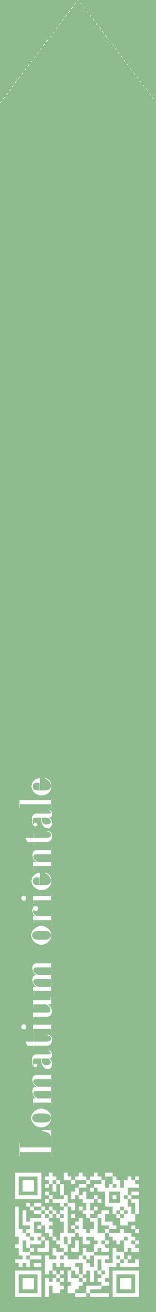 Étiquette de : Lomatium orientale - format c - style blanche13_simplebod avec qrcode et comestibilité
