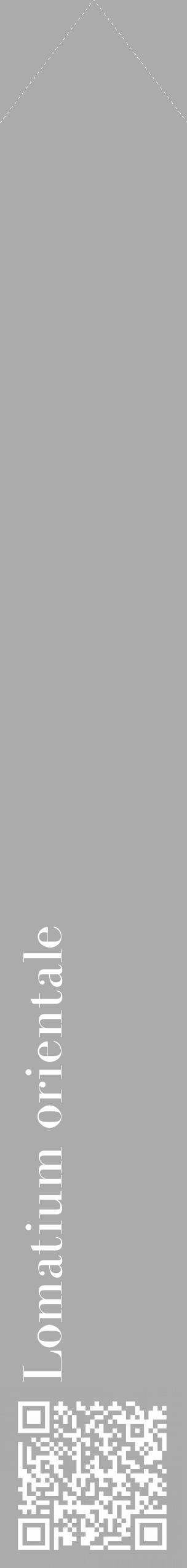 Étiquette de : Lomatium orientale - format c - style blanche37_simple_simplebod avec qrcode et comestibilité - position verticale