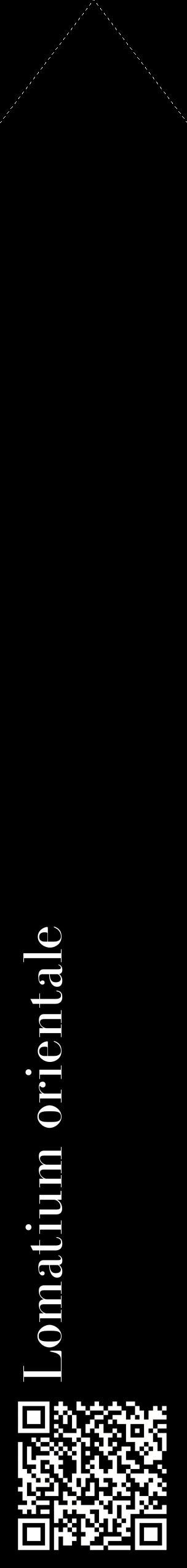 Étiquette de : Lomatium orientale - format c - style blanche59_simplebod avec qrcode et comestibilité