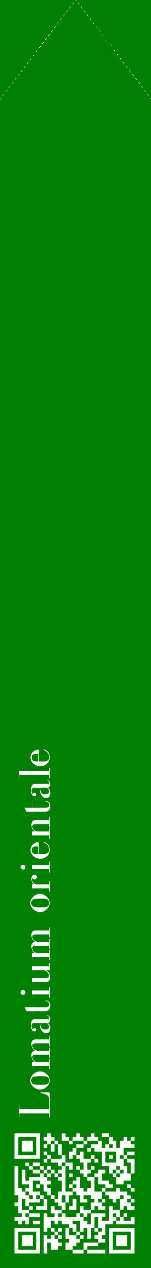 Étiquette de : Lomatium orientale - format c - style blanche9_simplebod avec qrcode et comestibilité