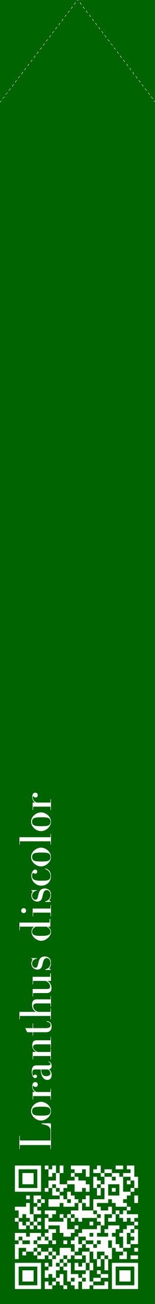 Étiquette de : Loranthus discolor - format c - style blanche8_simplebod avec qrcode et comestibilité