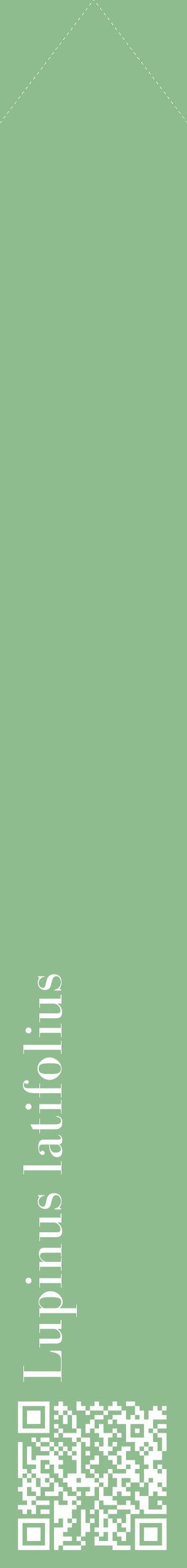 Étiquette de : Lupinus latifolius - format c - style blanche13_simplebod avec qrcode et comestibilité
