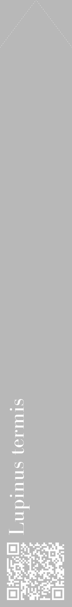 Étiquette de : Lupinus termis - format c - style blanche39_simple_simplebod avec qrcode et comestibilité - position verticale