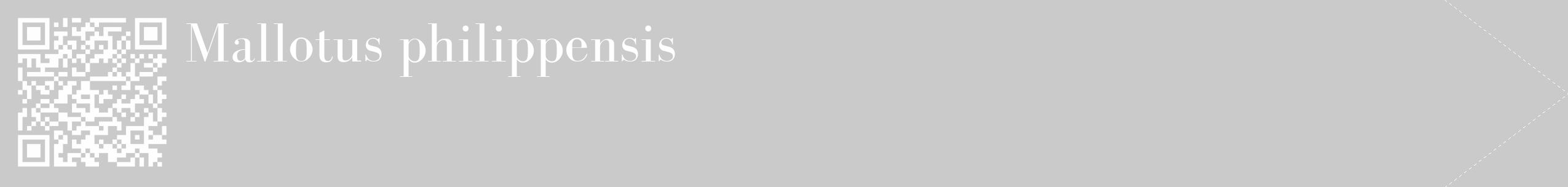 Étiquette de : Mallotus philippensis - format c - style blanche21_simple_simplebod avec qrcode et comestibilité