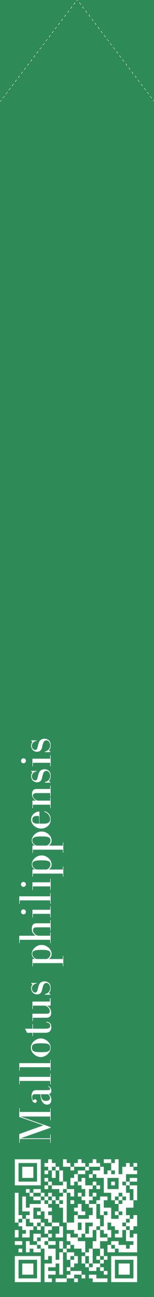 Étiquette de : Mallotus philippensis - format c - style blanche11_simplebod avec qrcode et comestibilité