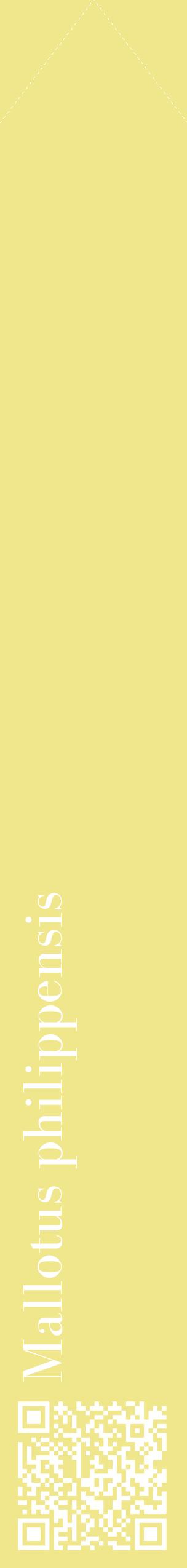 Étiquette de : Mallotus philippensis - format c - style blanche20_simplebod avec qrcode et comestibilité