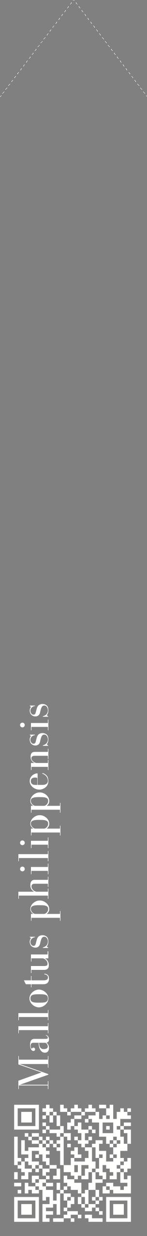 Étiquette de : Mallotus philippensis - format c - style blanche57_simplebod avec qrcode et comestibilité