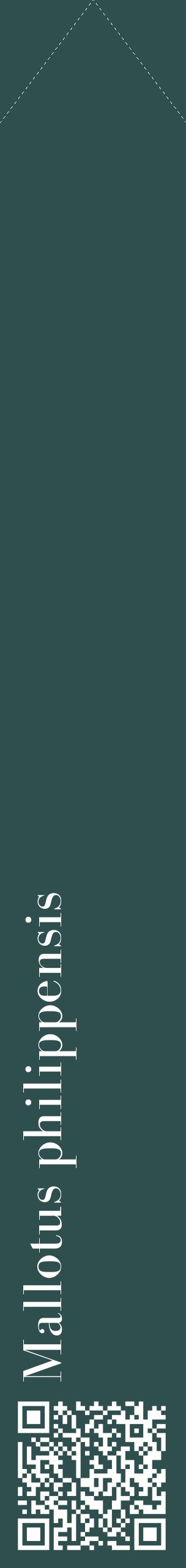 Étiquette de : Mallotus philippensis - format c - style blanche58_simplebod avec qrcode et comestibilité
