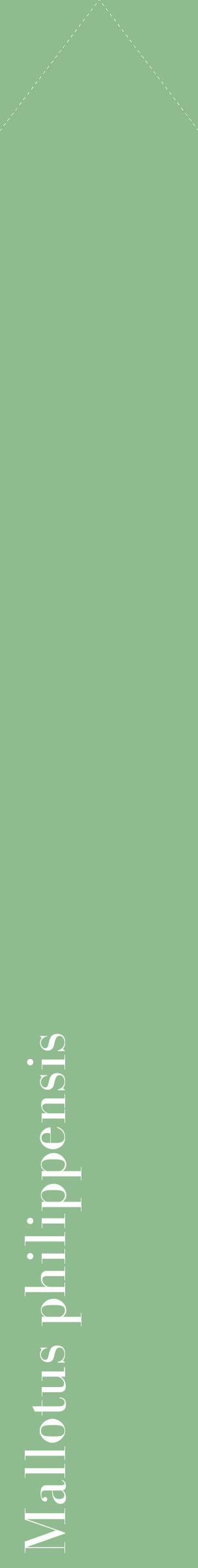 Étiquette de : Mallotus philippensis - format c - style blanche13_simplebod avec comestibilité