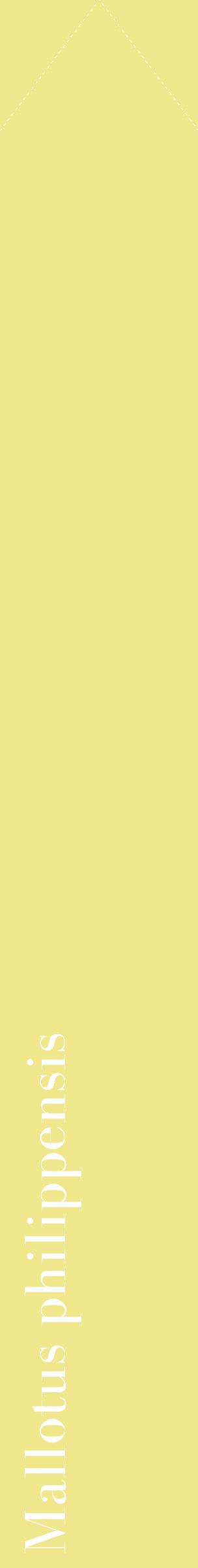 Étiquette de : Mallotus philippensis - format c - style blanche20_simplebod avec comestibilité