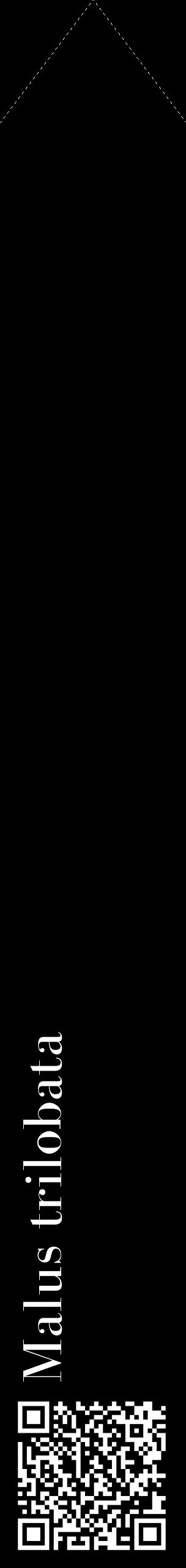 Étiquette de : Malus trilobata - format c - style blanche59_simplebod avec qrcode et comestibilité