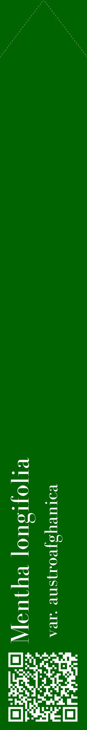 Étiquette de : Mentha longifolia var. austroafghanica - format c - style blanche8_simplebod avec qrcode et comestibilité