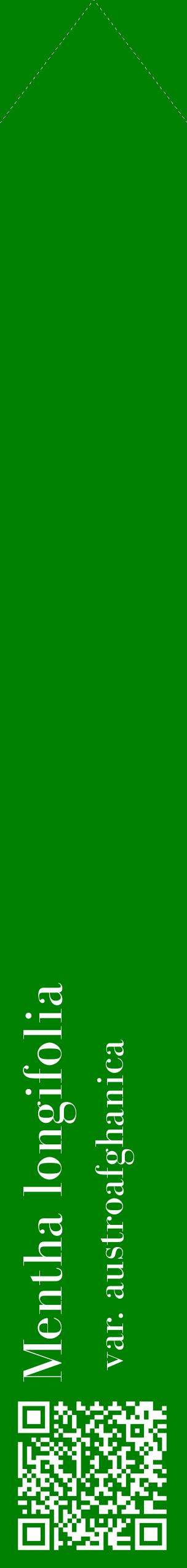 Étiquette de : Mentha longifolia var. austroafghanica - format c - style blanche9_simplebod avec qrcode et comestibilité