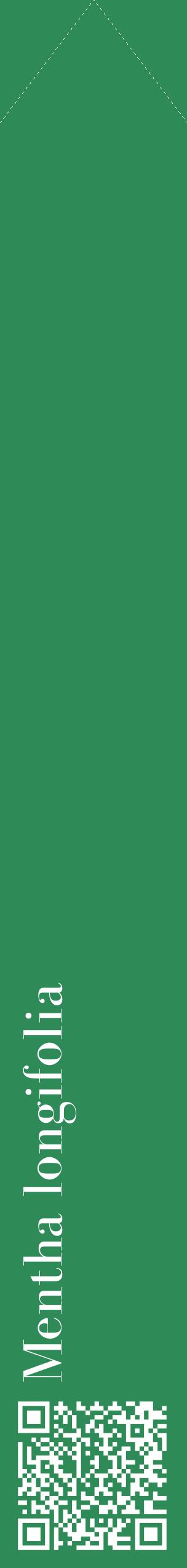 Étiquette de : Mentha longifolia - format c - style blanche11_simple_simplebod avec qrcode et comestibilité - position verticale