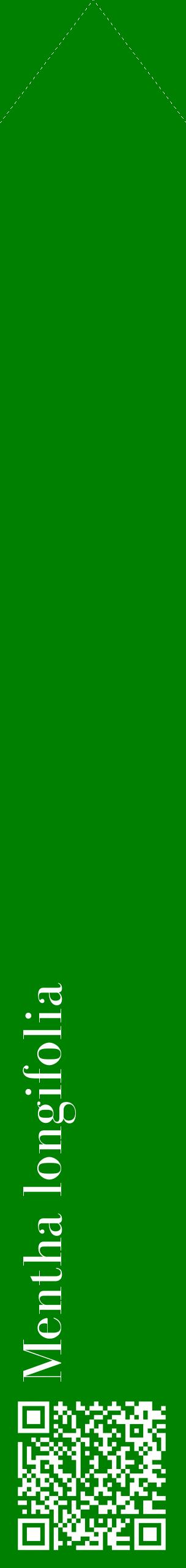 Étiquette de : Mentha longifolia - format c - style blanche9_simplebod avec qrcode et comestibilité