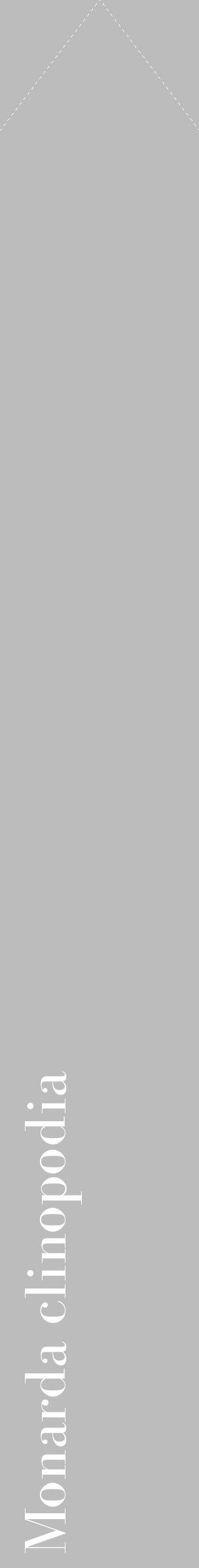 Étiquette de : Monarda clinopodia - format c - style blanche1_simple_simplebod avec comestibilité - position verticale