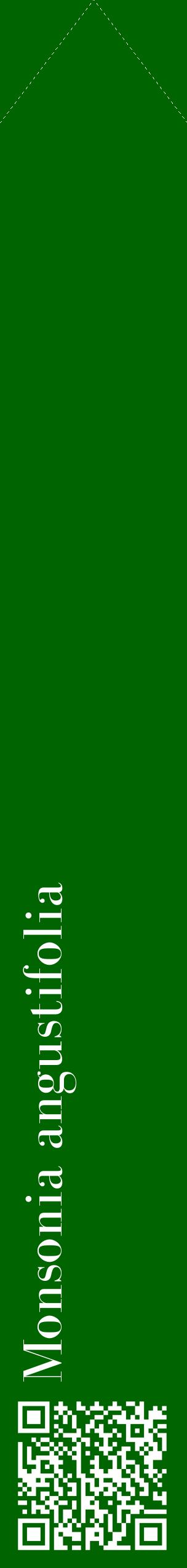 Étiquette de : Monsonia angustifolia - format c - style blanche8_simplebod avec qrcode et comestibilité