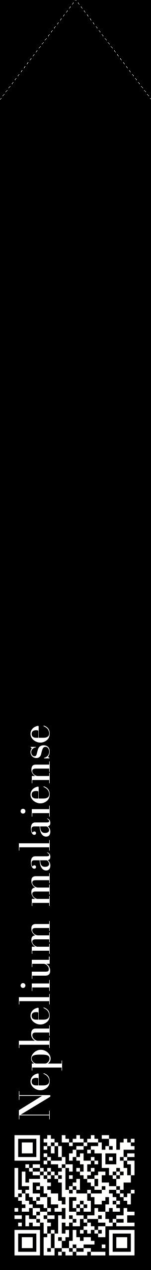 Étiquette de : Nephelium malaiense - format c - style blanche59_simplebod avec qrcode et comestibilité