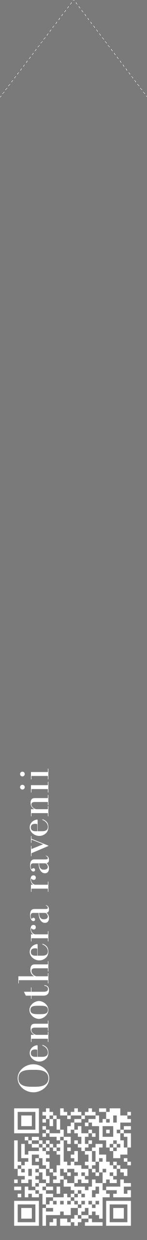 Étiquette de : Oenothera ravenii - format c - style blanche3_simple_simplebod avec qrcode et comestibilité - position verticale