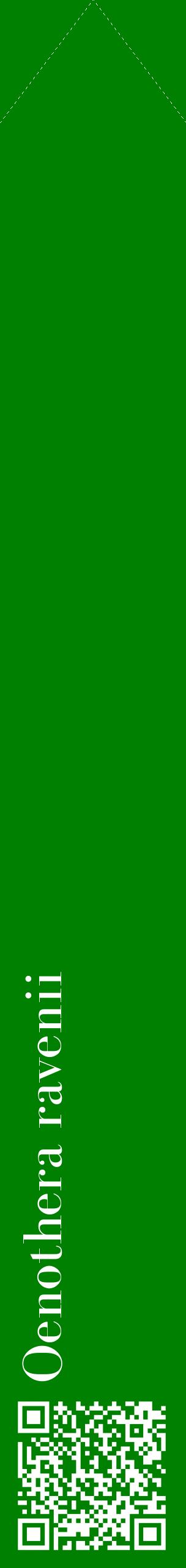 Étiquette de : Oenothera ravenii - format c - style blanche9_simplebod avec qrcode et comestibilité