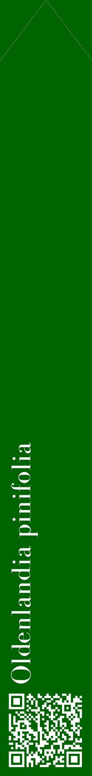 Étiquette de : Oldenlandia pinifolia - format c - style blanche8_simplebod avec qrcode et comestibilité