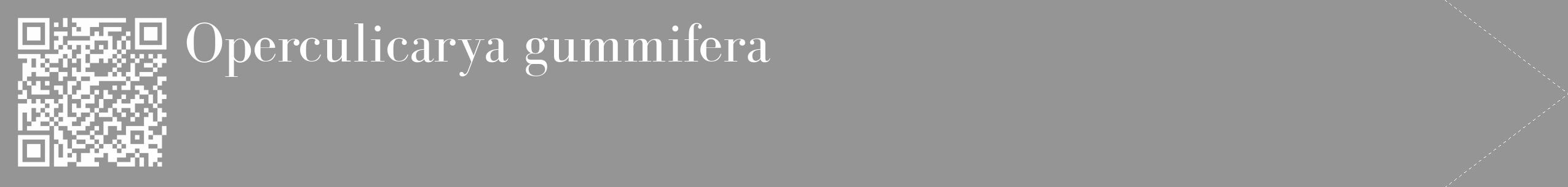Étiquette de : Operculicarya gummifera - format c - style blanche16_simple_simplebod avec qrcode et comestibilité