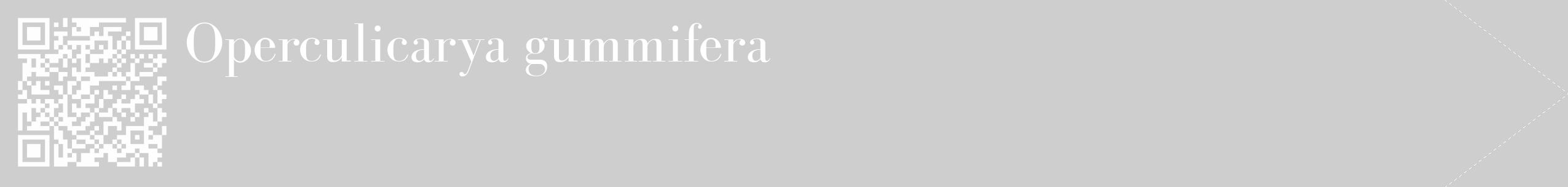 Étiquette de : Operculicarya gummifera - format c - style blanche17_simple_simplebod avec qrcode et comestibilité