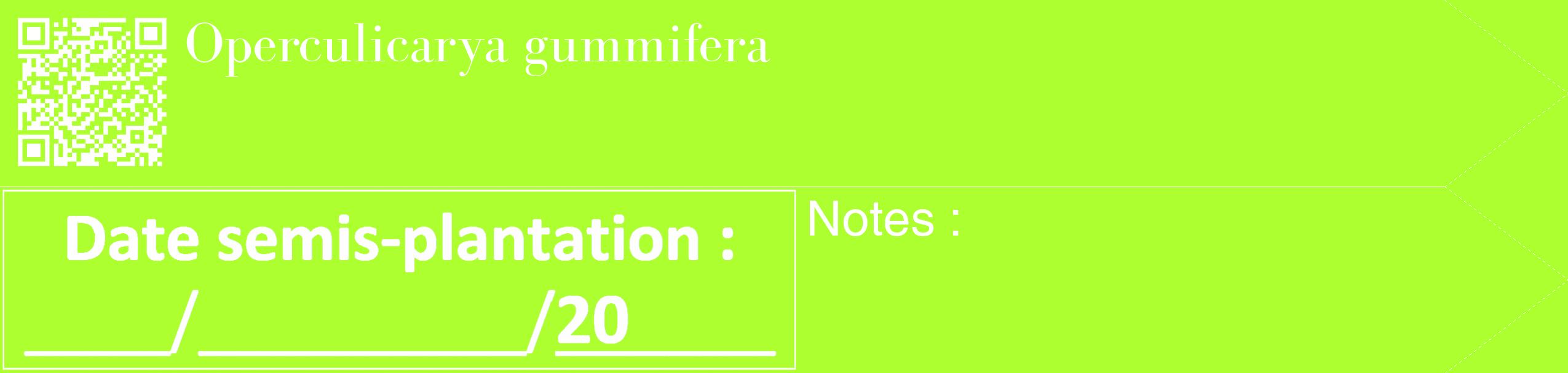 Étiquette de : Operculicarya gummifera - format c - style blanche17_simple_simplebod avec qrcode et comestibilité