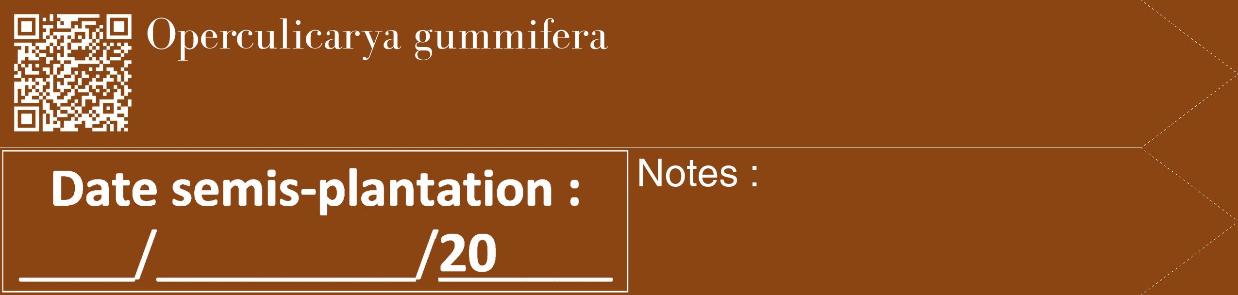 Étiquette de : Operculicarya gummifera - format c - style blanche30_simple_simplebod avec qrcode et comestibilité