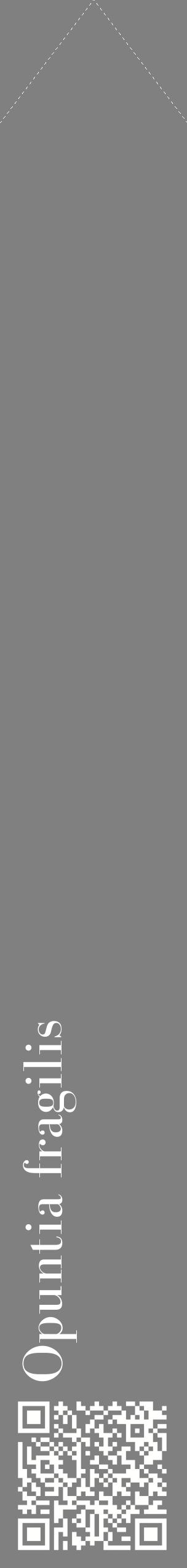 Étiquette de : Opuntia fragilis - format c - style blanche57_simplebod avec qrcode et comestibilité