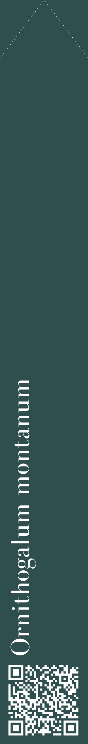 Étiquette de : Ornithogalum montanum - format c - style blanche58_simplebod avec qrcode et comestibilité
