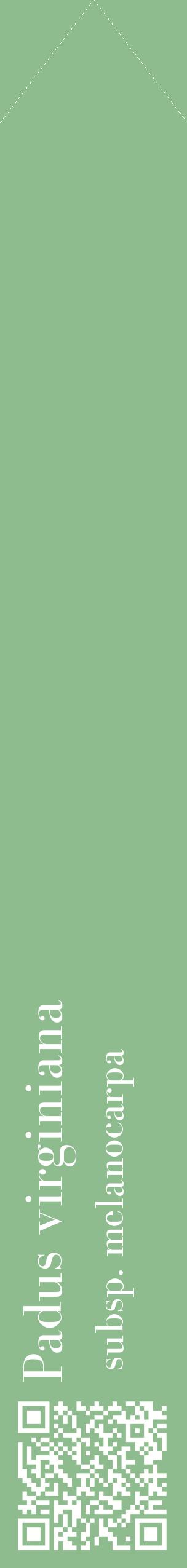 Étiquette de : Padus virginiana subsp. melanocarpa - format c - style blanche13_simplebod avec qrcode et comestibilité