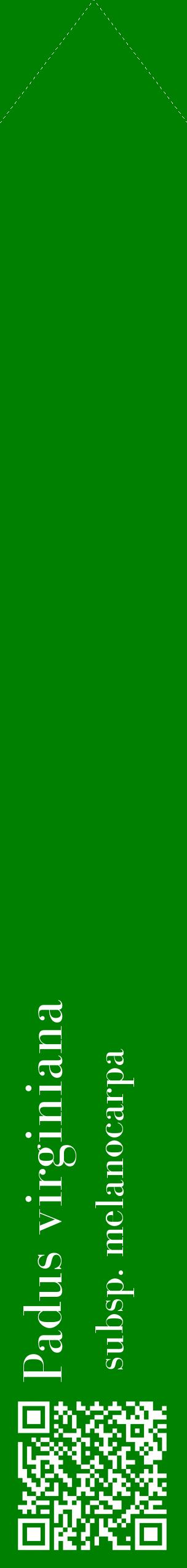 Étiquette de : Padus virginiana subsp. melanocarpa - format c - style blanche9_simplebod avec qrcode et comestibilité