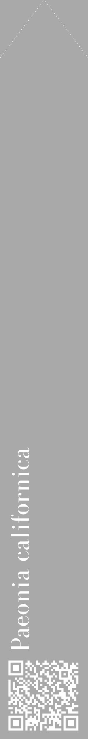 Étiquette de : Paeonia californica - format c - style blanche13_simple_simplebod avec qrcode et comestibilité - position verticale