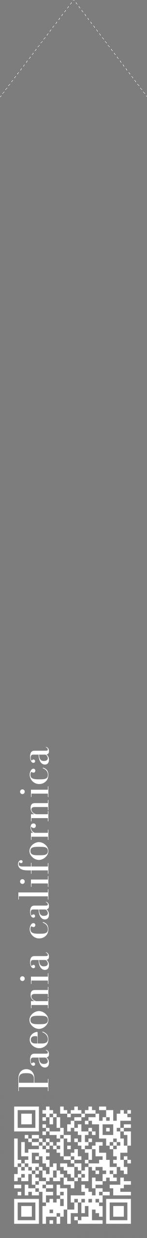 Étiquette de : Paeonia californica - format c - style blanche35_simple_simplebod avec qrcode et comestibilité - position verticale