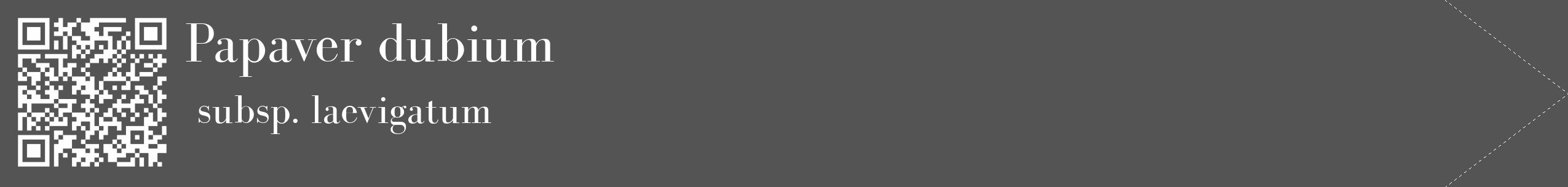 Étiquette de : Papaver dubium subsp. laevigatum - format c - style blanche36_simple_simplebod avec qrcode et comestibilité
